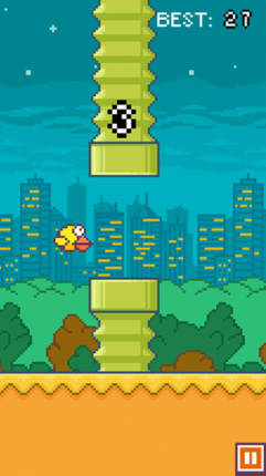 Chubby Birds