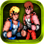 Double Dragon II: The Revenge