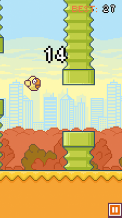 Chubby Birds