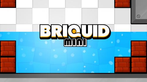 Briquid Mini